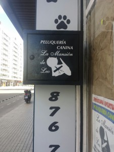 GALERIA INSTALACIONES (1)