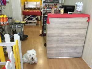 GALERIA INSTALACIONES (8)